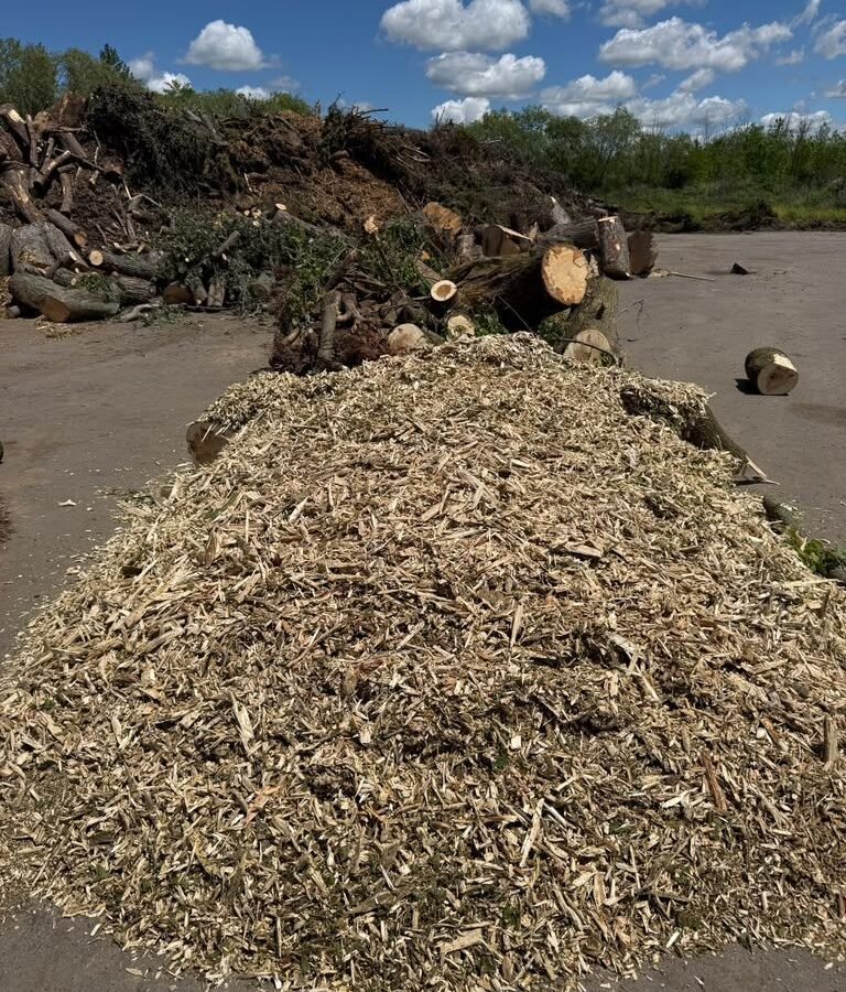 Tree Service Buffalo NY, TreeCraft Tree Service job site photo