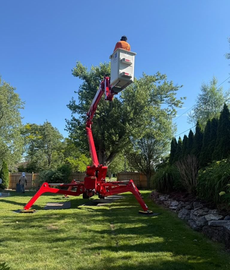 Tree Service Rochester NY, TreeCraft Tree Service job site photo