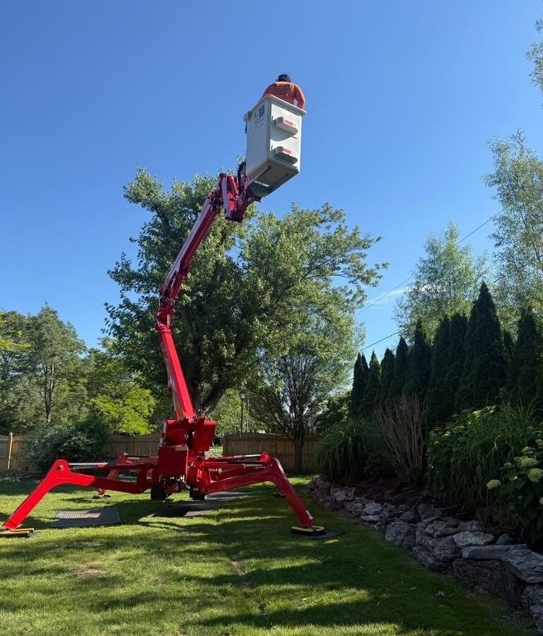 Tree Service Cheektowaga NY, TreeCraft Tree Service job site photo