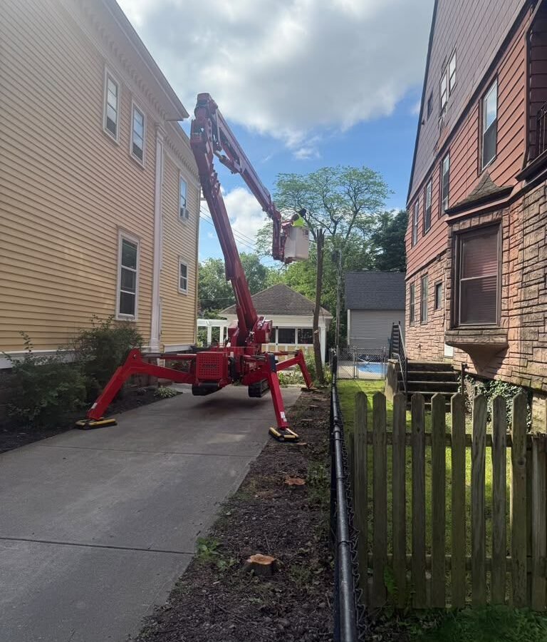 Tree Service Greece NY, TreeCraft Tree Service job site photo